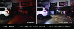 Subaru Forester Lighting Control Module - Diode Dynamics - Tail as Turn + Backup - `17-`18 Subaru Forester Lighting Control Module - Diode Dynamics - Tail as Turn + Backup - `17-`18